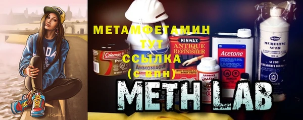 гидра Надым