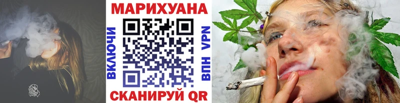 магазин продажи наркотиков  mega как зайти  МАРИХУАНА сатива  Мосальск 
